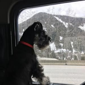 Meet your Posher, Doug